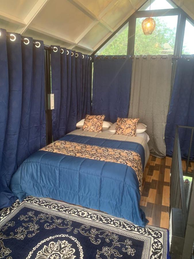 Chalets Resort Masinagudi Ooty Exterior photo