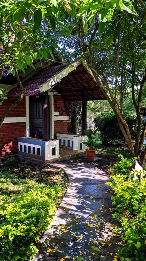 Chalets Resort Masinagudi Ooty Exterior photo
