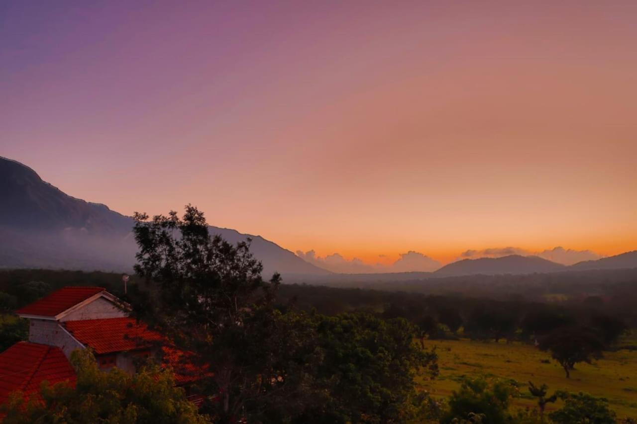 Chalets Resort Masinagudi Ooty Exterior photo