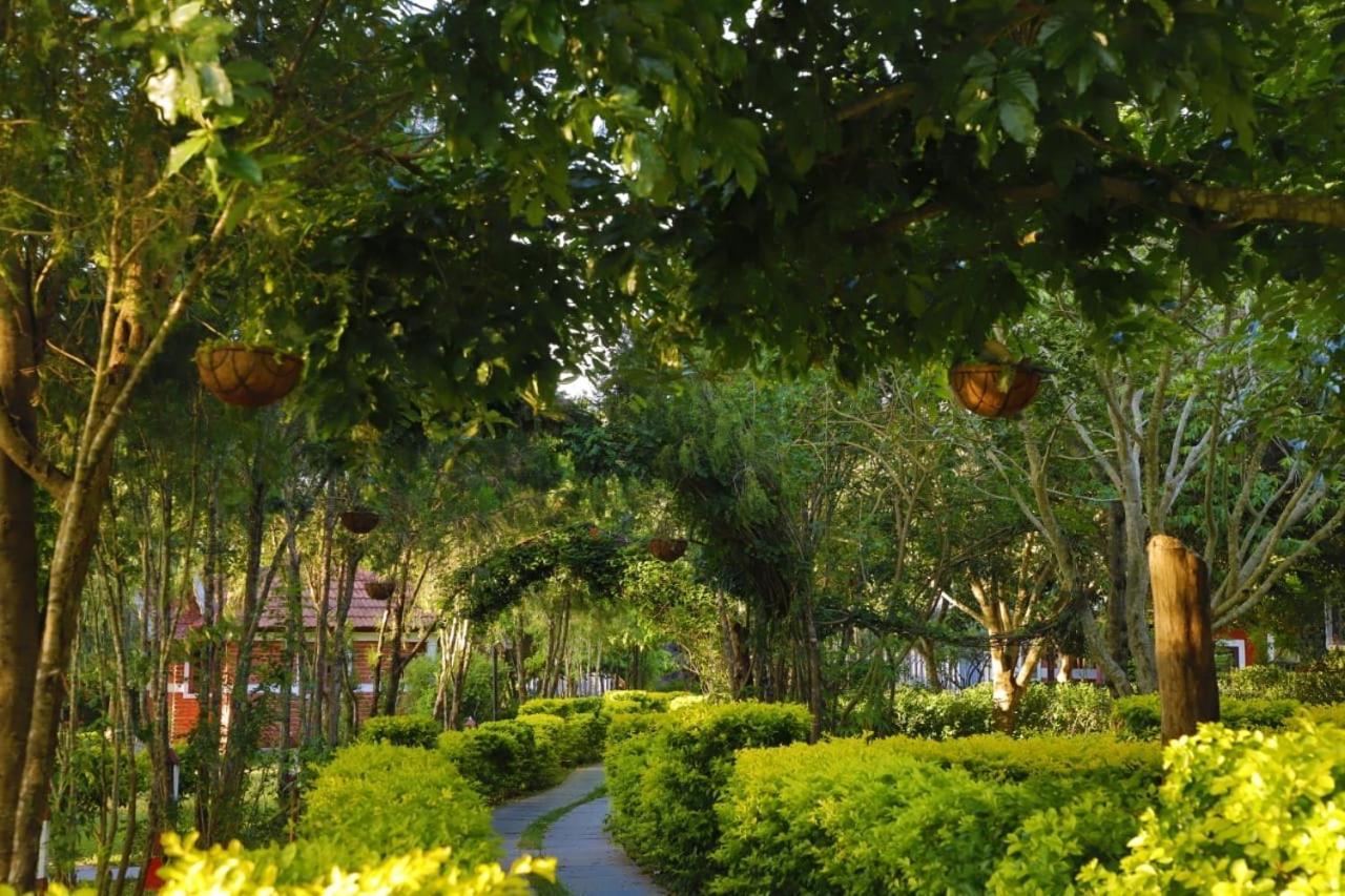 Chalets Resort Masinagudi Ooty Exterior photo