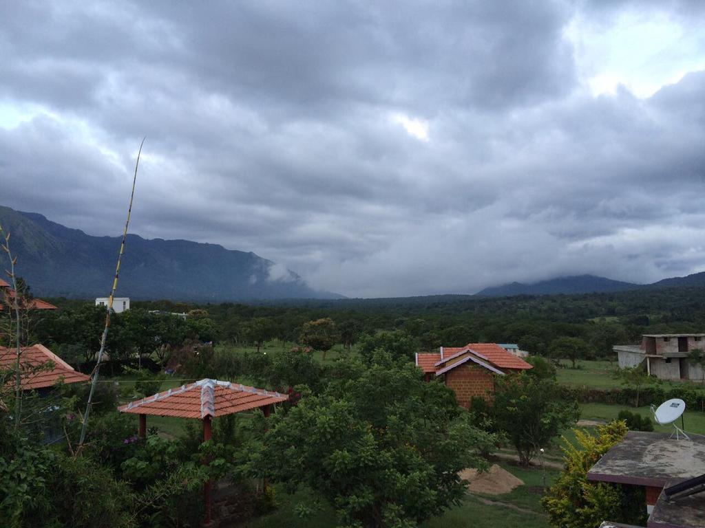 Chalets Resort Masinagudi Ooty Exterior photo