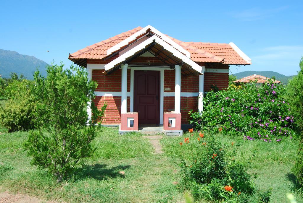Chalets Resort Masinagudi Ooty Exterior photo